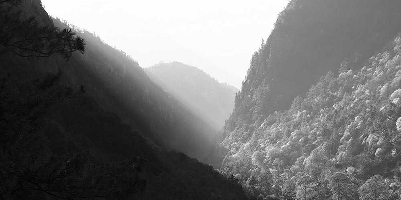 肖恩·肖恩的奇妙旅程